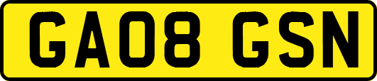 GA08GSN
