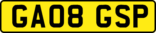 GA08GSP