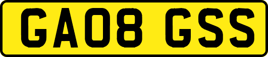 GA08GSS
