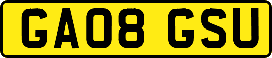 GA08GSU