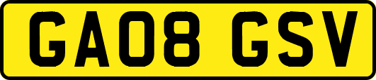 GA08GSV