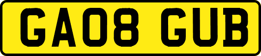 GA08GUB