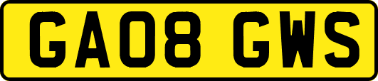 GA08GWS