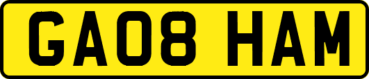 GA08HAM