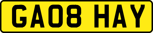 GA08HAY
