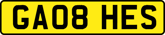 GA08HES