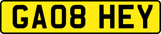 GA08HEY