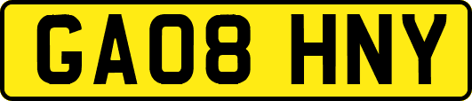 GA08HNY