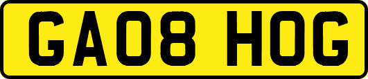 GA08HOG
