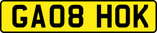 GA08HOK