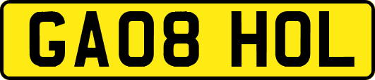 GA08HOL