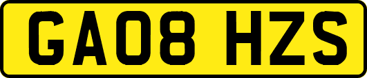 GA08HZS