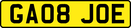 GA08JOE