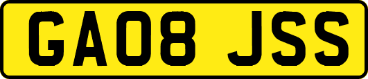 GA08JSS