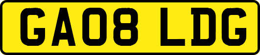 GA08LDG