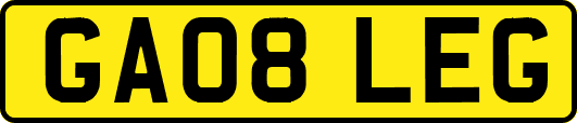 GA08LEG