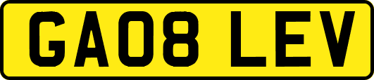GA08LEV