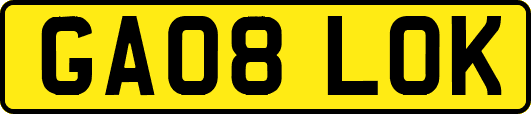 GA08LOK