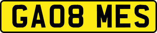 GA08MES