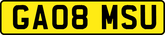 GA08MSU