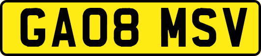 GA08MSV