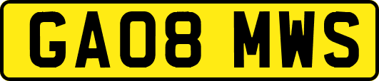 GA08MWS