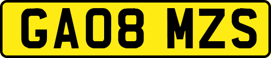 GA08MZS