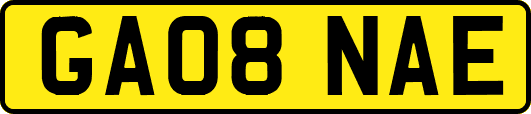 GA08NAE