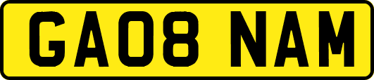 GA08NAM
