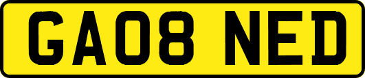 GA08NED