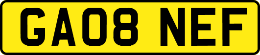 GA08NEF