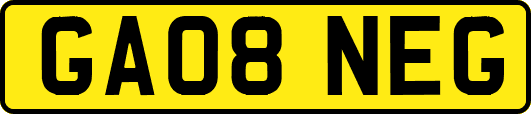 GA08NEG