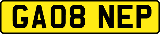 GA08NEP