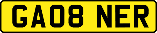 GA08NER