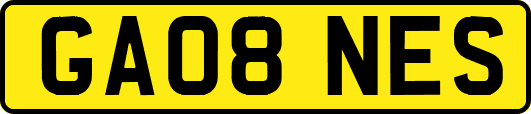 GA08NES