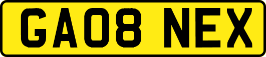 GA08NEX