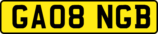 GA08NGB
