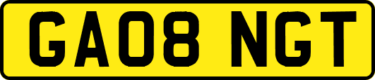 GA08NGT