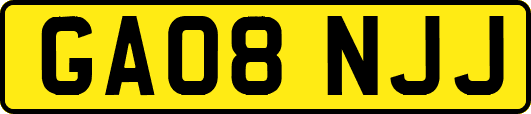 GA08NJJ