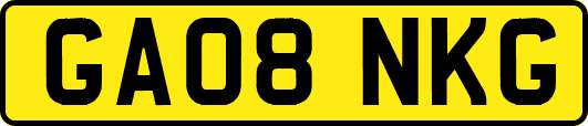 GA08NKG