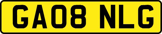 GA08NLG
