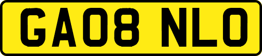 GA08NLO