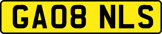 GA08NLS