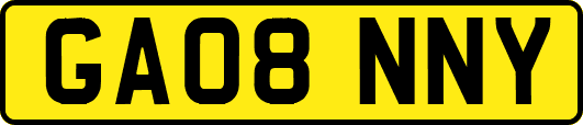 GA08NNY