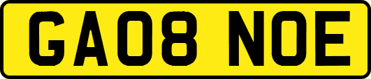 GA08NOE