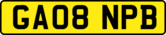 GA08NPB