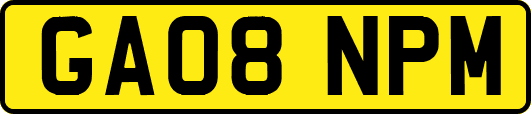 GA08NPM