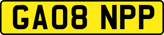 GA08NPP