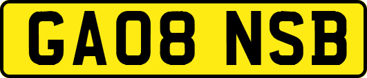 GA08NSB