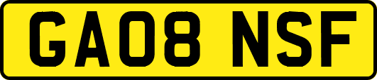 GA08NSF